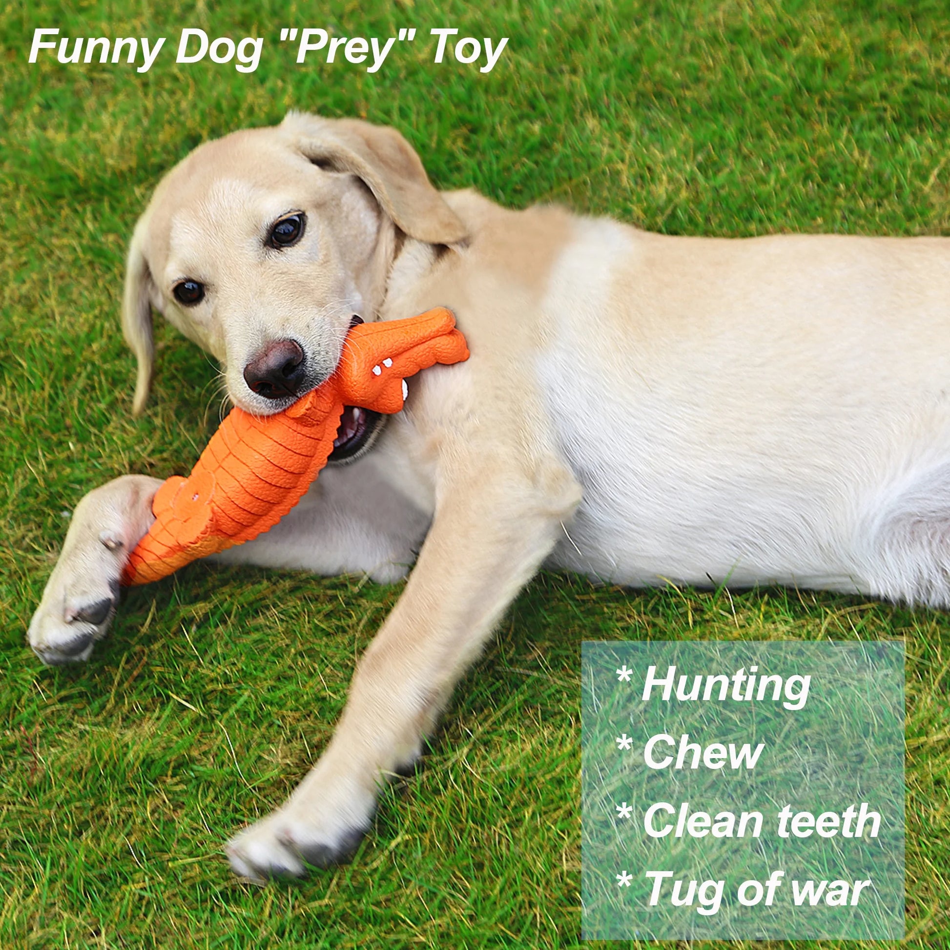Chew Crocodile Toy - Teeth Cleaning for Medium, Large Dogs