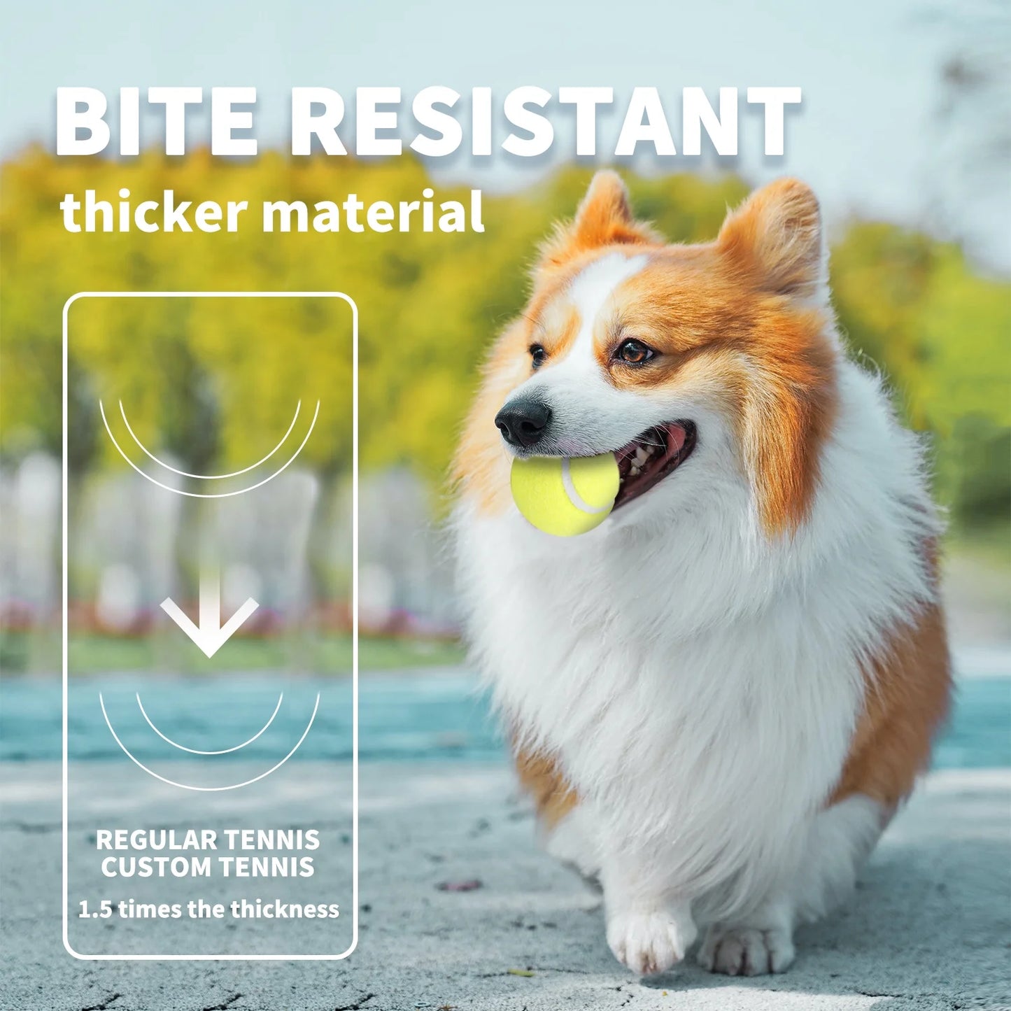 6Pcs Tennis Balls for Puppy to Small Dogs