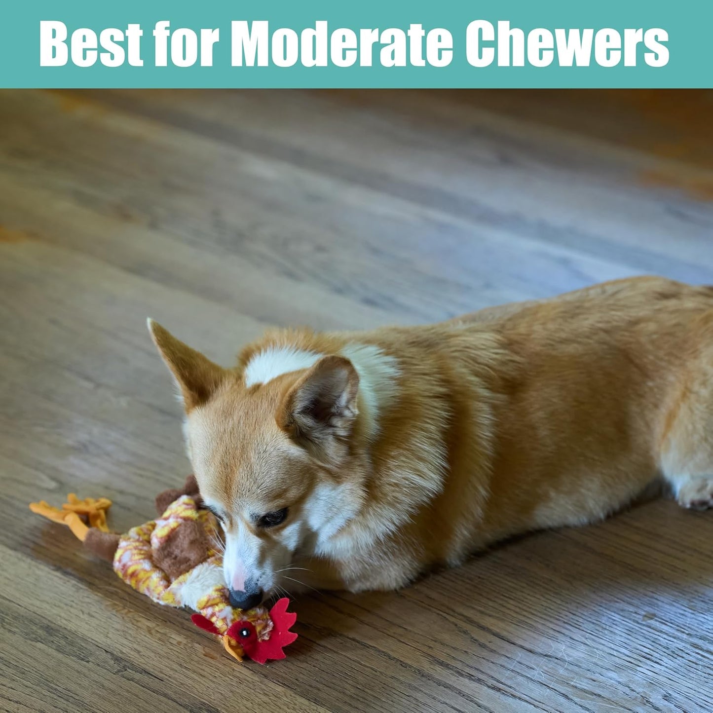 Skinneeez Chicken 13 Inch Stuffing-Free Plush Squeaky Dog Toy 