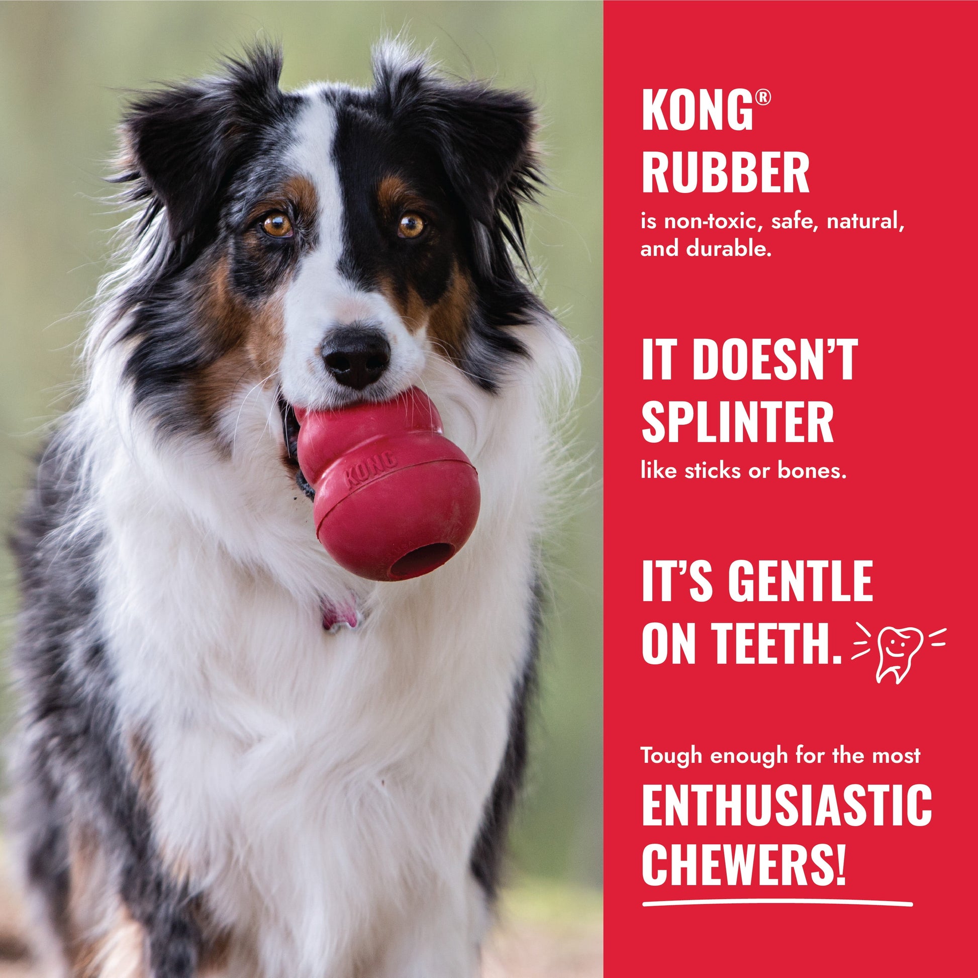 Classic Rubber Dog Toy for Average Chewers - Dogs between 15-35 Lbs