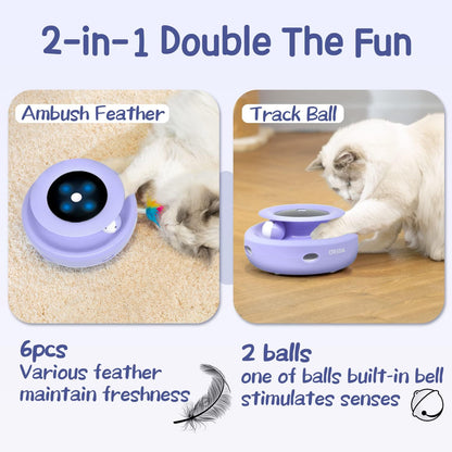 2-In-1 Interactive Cat Toy for Indoor Cats